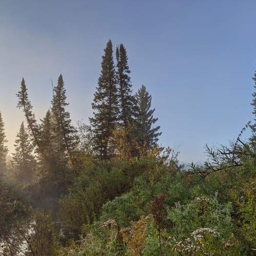 Photo #11791455