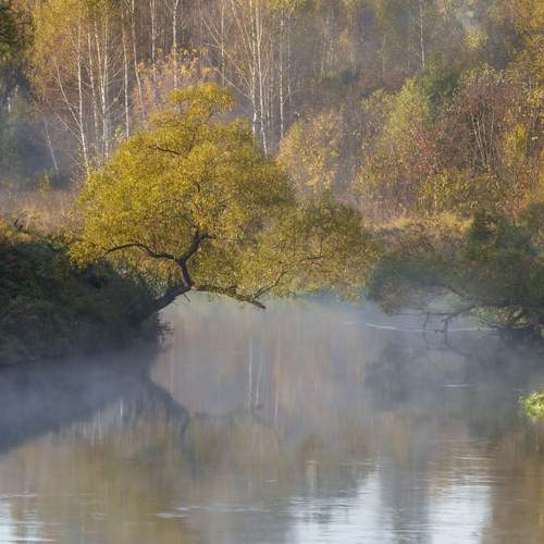 Photo #11791505