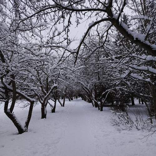Photo #11791509