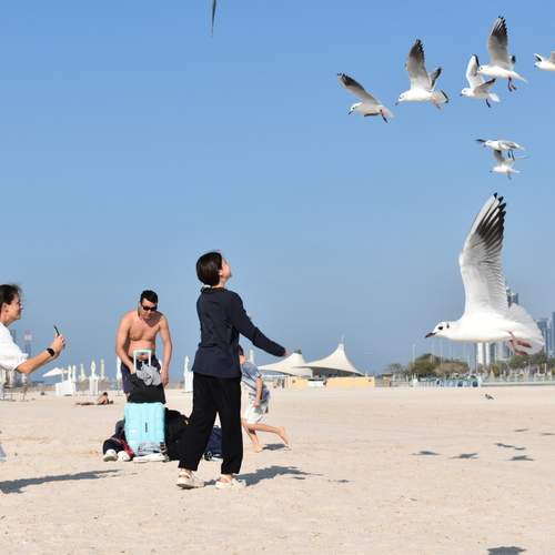 Photo #11791679