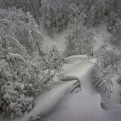 Photo #11791682