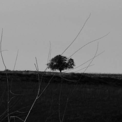 Photo #11791716
