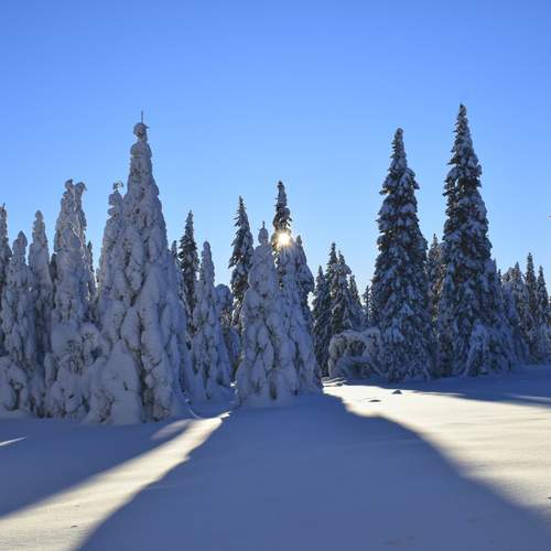 Photo #11791872