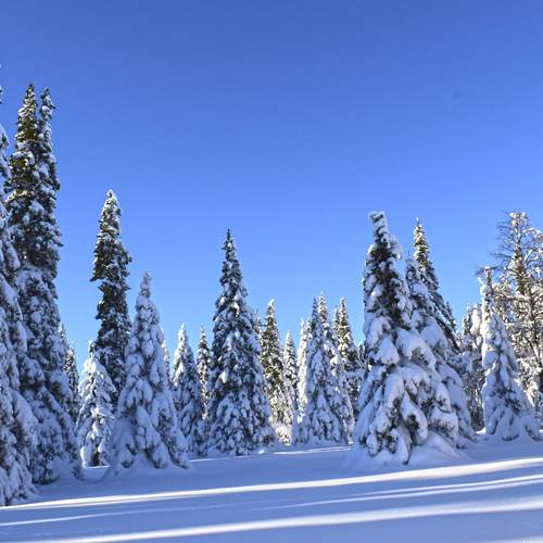 Photo #11791873