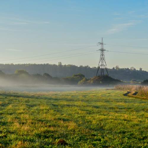 Photo #11792101