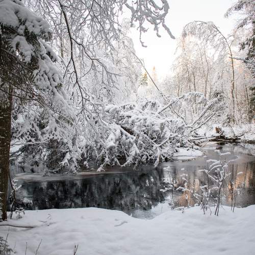 Photo #11792363