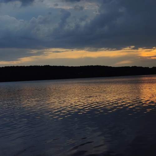 Photo #11792536