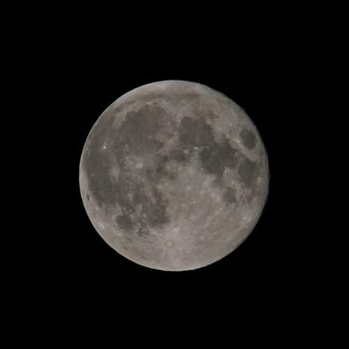 Photo #11792667