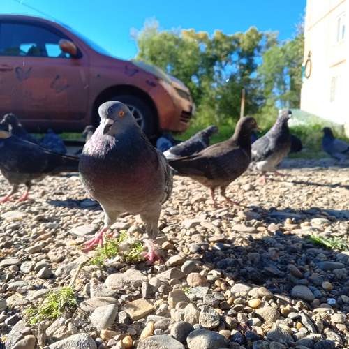 Photo #11792877