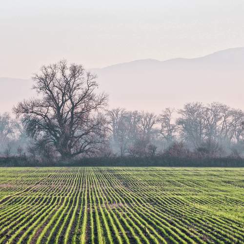 Photo #11792954