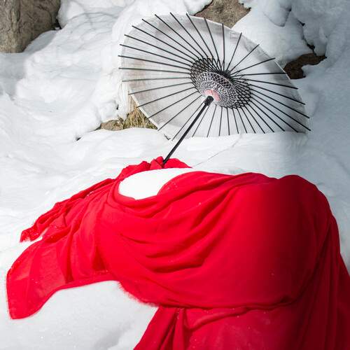 Photo #11793286