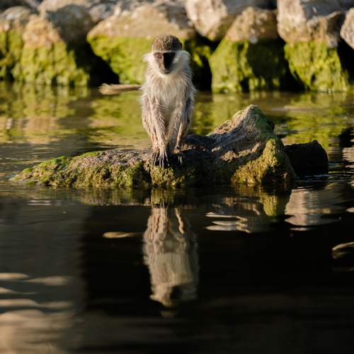 Photo #11793403
