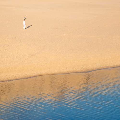 Photo #11793421