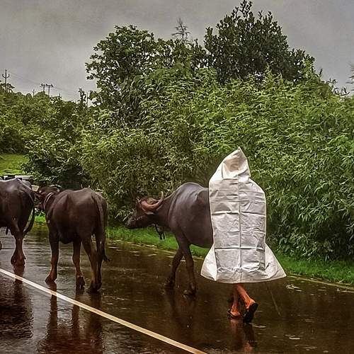 Monsoon Ride