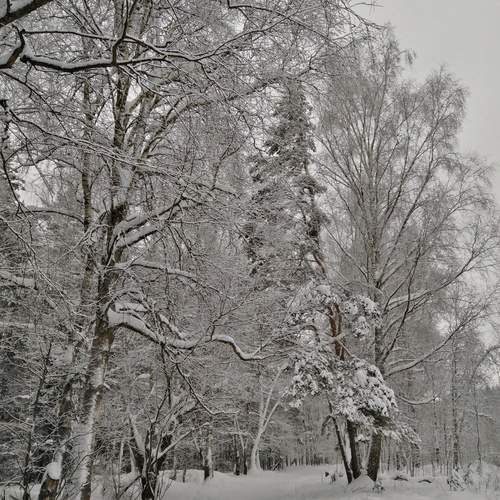 Photo #11793591