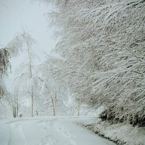 Photo #11793597