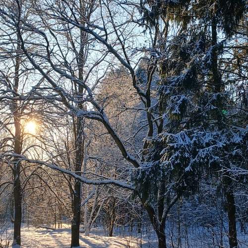 Photo #11793604