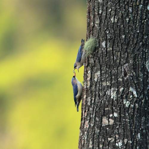 Photo #11794082