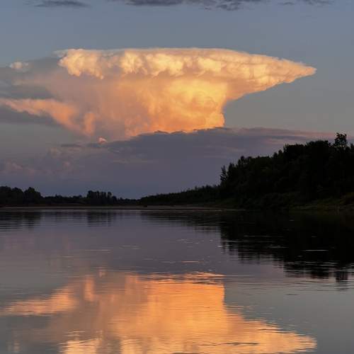 Photo #11794099