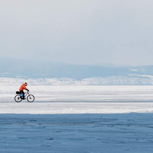 Photo #11794373