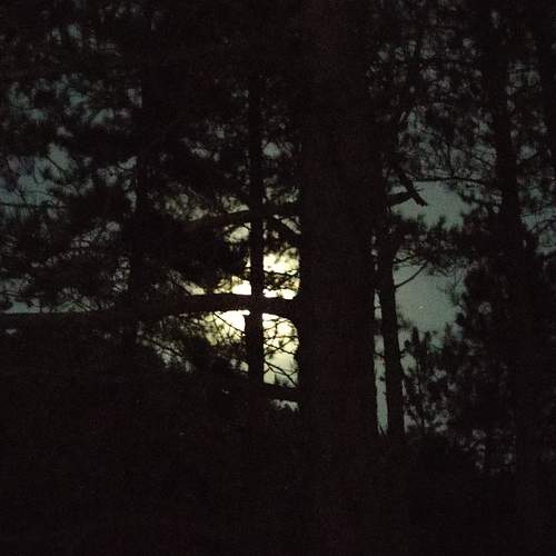 Photo #11794389