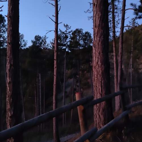 Photo #11794402