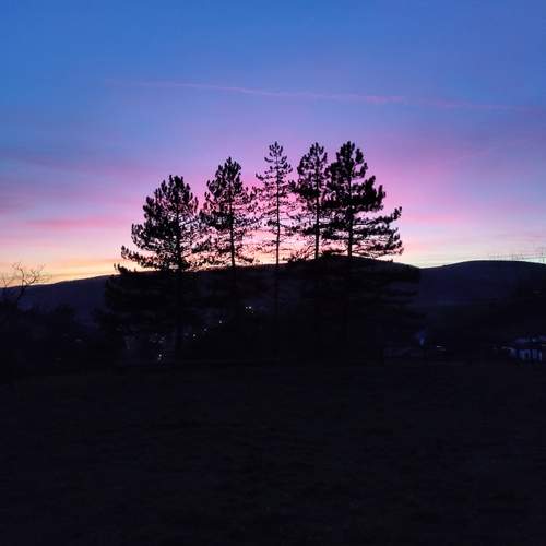Photo #11794412