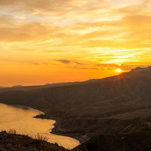 Photo #11794442