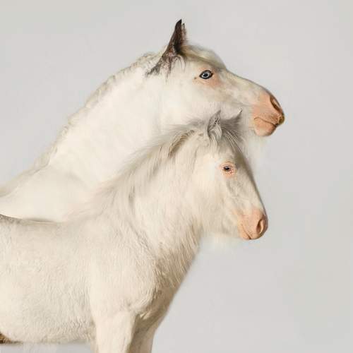 Фотография #11794508