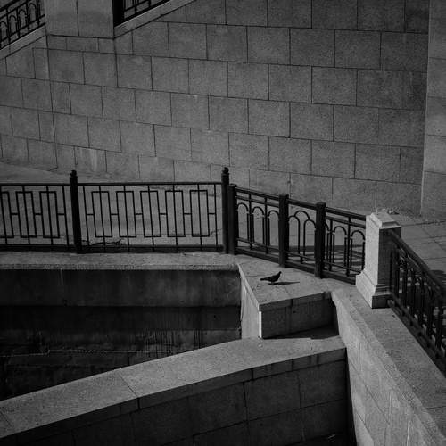 Photo #11794600