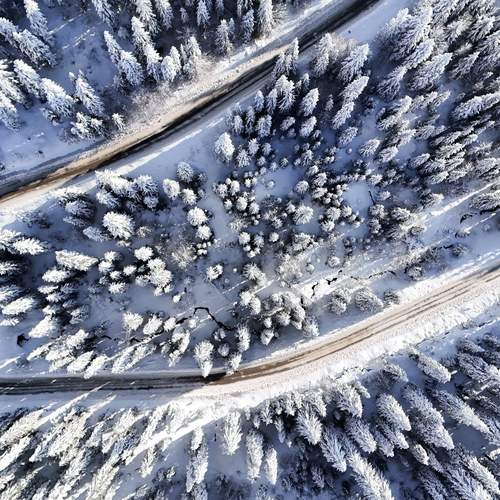 Photo #11794637