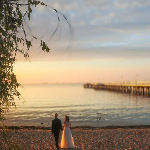 Photo #11794668