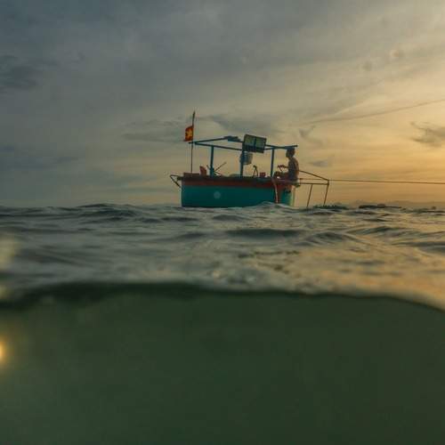 Photo #11794693
