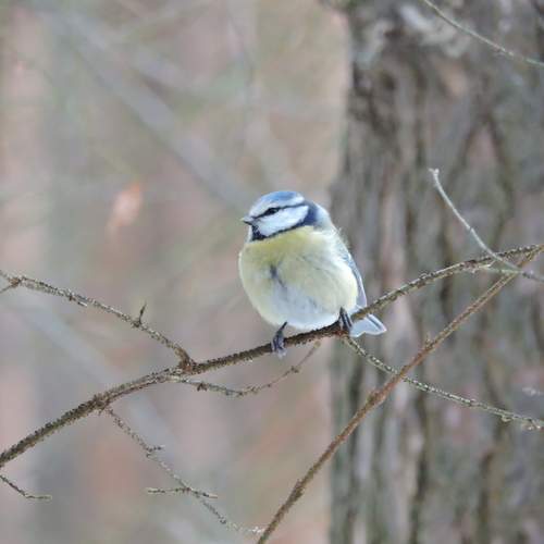 Photo #11795023