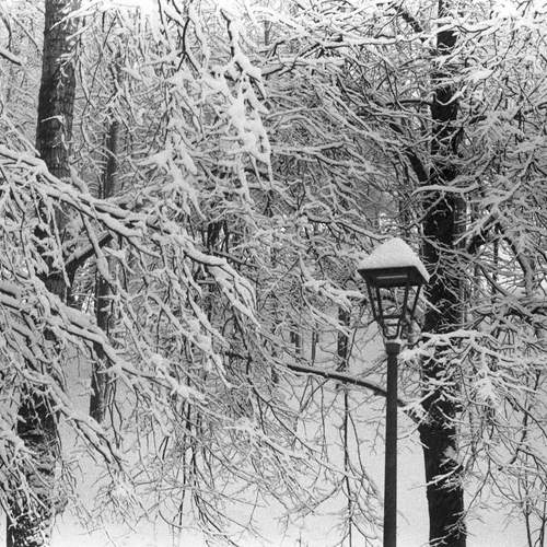 Photo #11795259