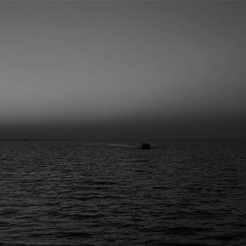 Photo #11795332