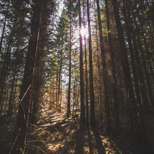 Photo #11795378