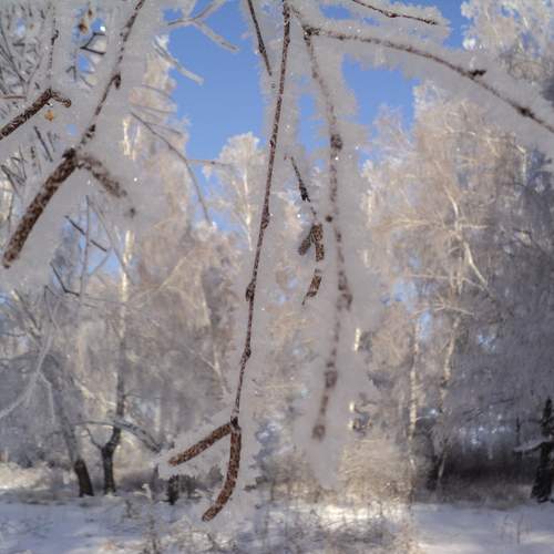 Photo #11795524