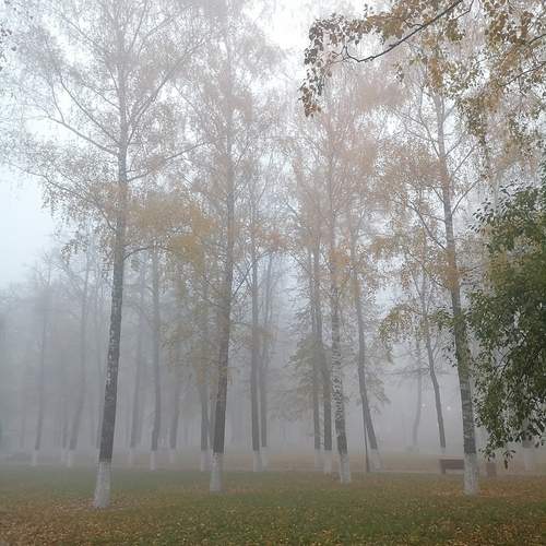 Photo #11795537