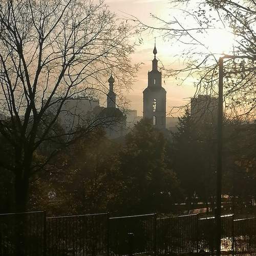 Photo #11795538