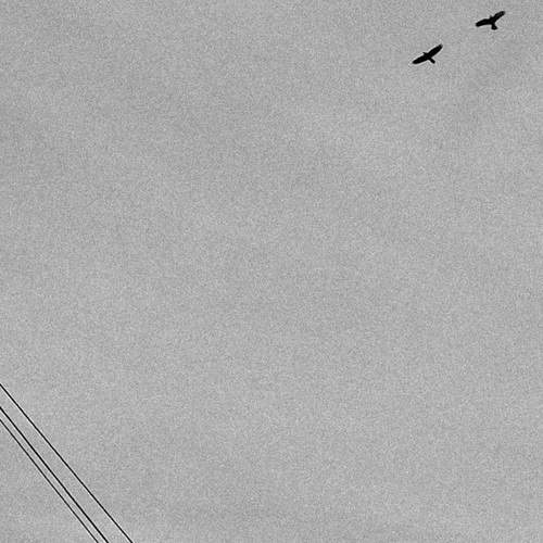 Photo #11795559