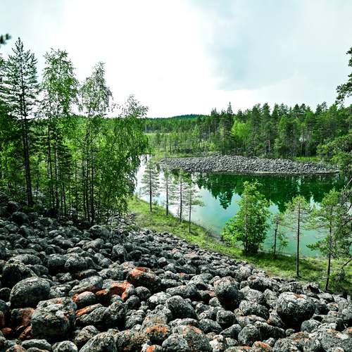Photo #11795649