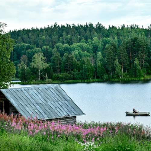 Photo #11795666