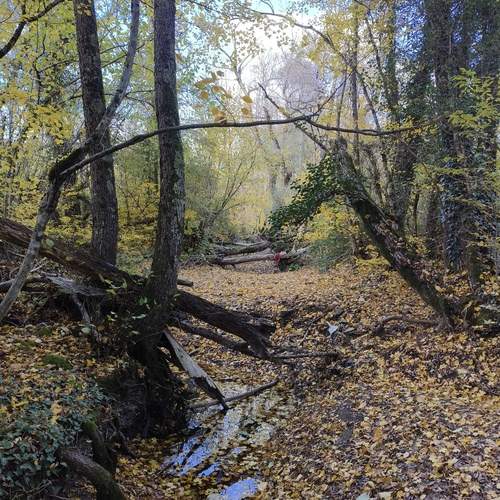 Photo #11795709