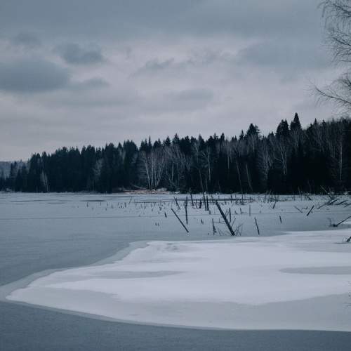 Photo #11795780