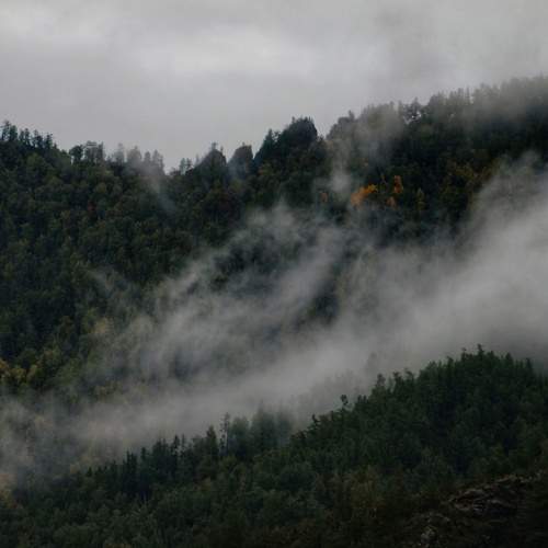 Photo #11795781