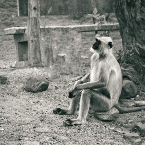 Photo #11795784