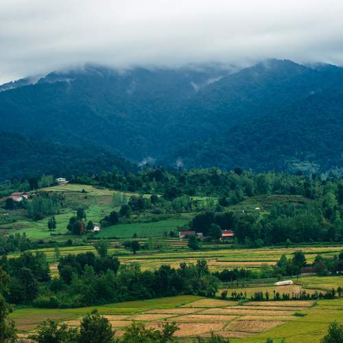 Photo #11795788