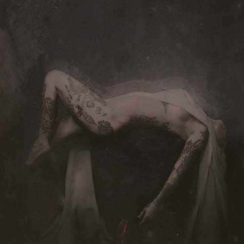 Photo #11795875