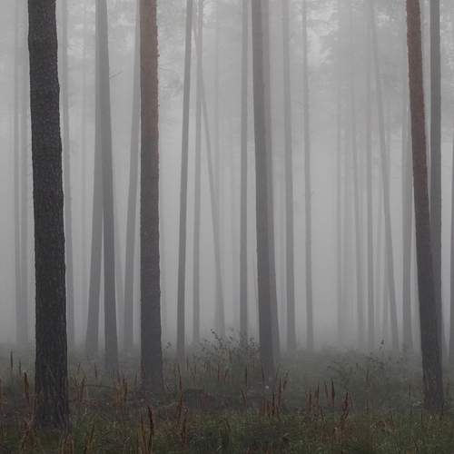 Photo #11796283